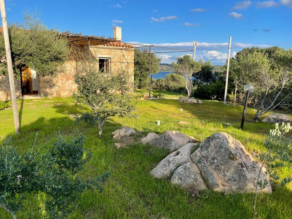 Casa vacanze La Collinetta Sul Mare Olbia